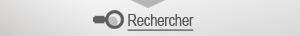 Lancer la recherche